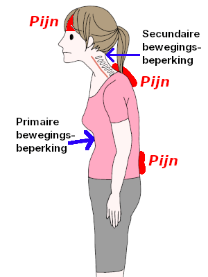 Bewegingsbeperkingen en pijn [Bewegingsbeperkingen en pijn