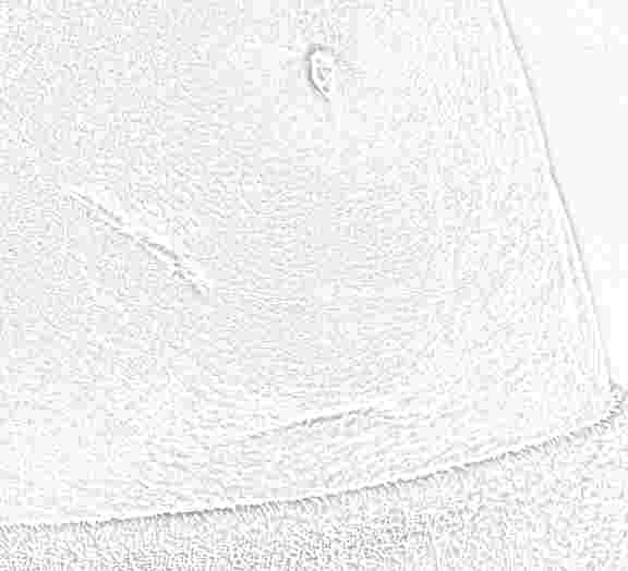 [Alternate image is loaded on printing